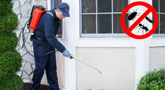 Dargeçit Dezenfeksiyon böcek ilaçlama ve haşere kontrolü — ilaclama-tr.com